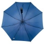 BLUE UMBRELLA