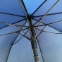 BLUE UMBRELLA